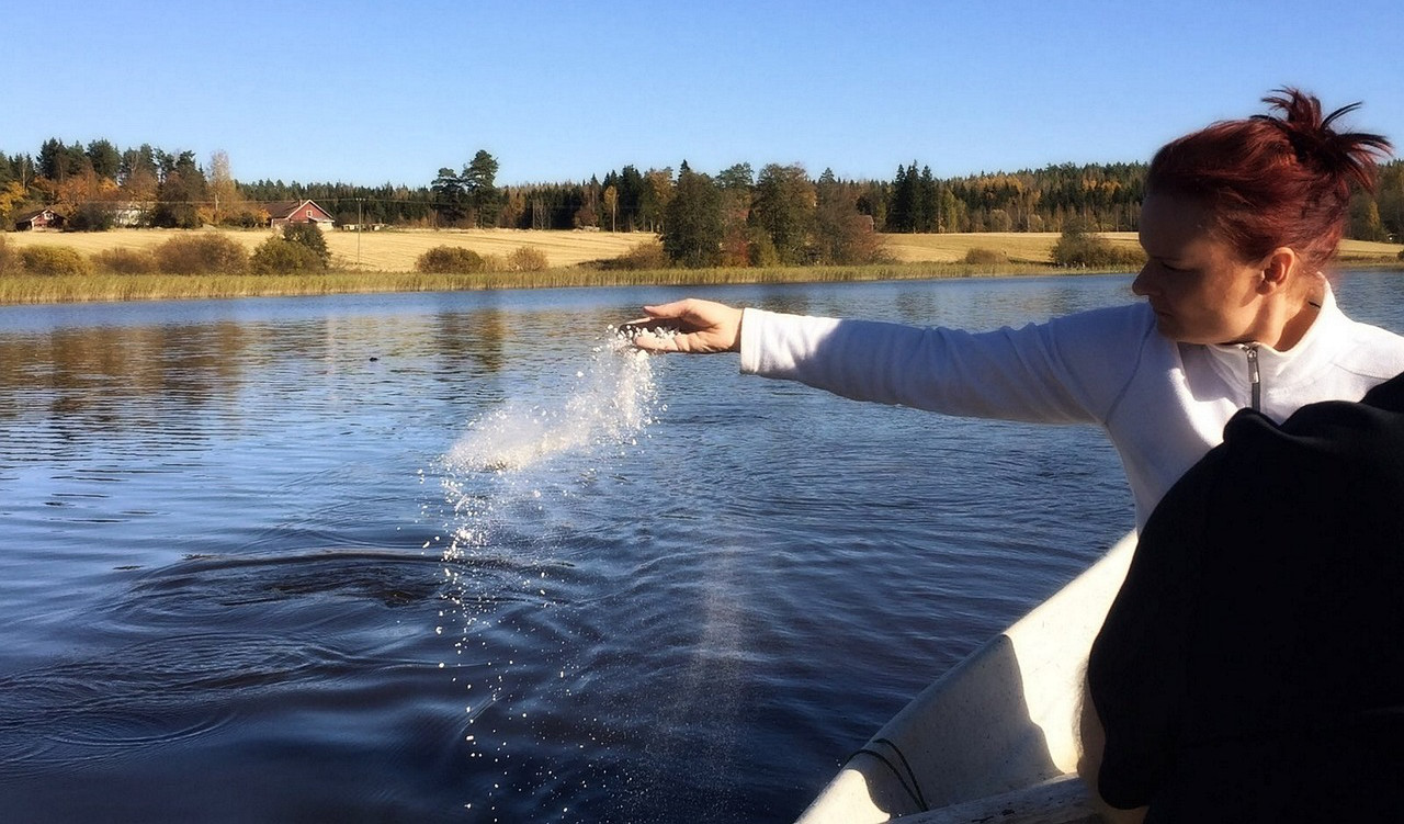 Estadísticas y Tendencias: El Crecimiento de la Cremación en Chile y el Mundo
