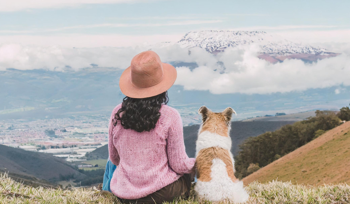 Cremación de Mascotas: Una Guía para Propietarios de Animales